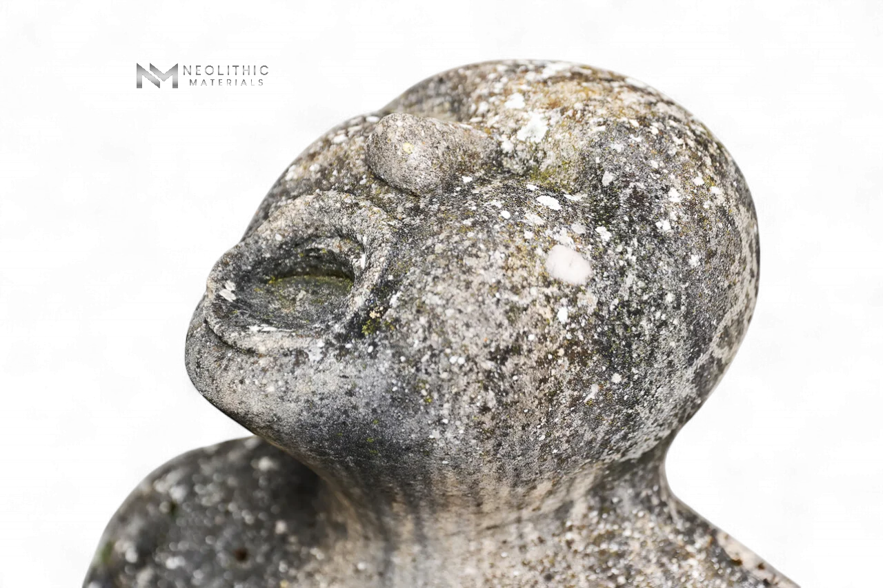 GO190-NA109.ON - Image 5